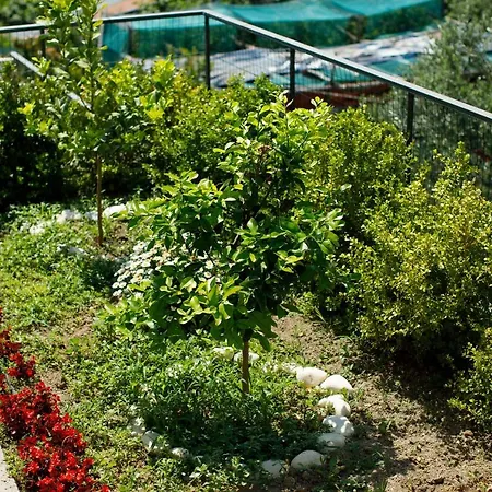 Casa Del Saraceno Holiday home Massa Lubrense